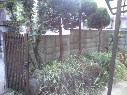 画像5