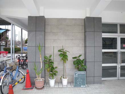 画像6