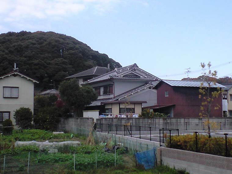 画像5
