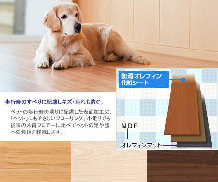 写真ペットと暮らす